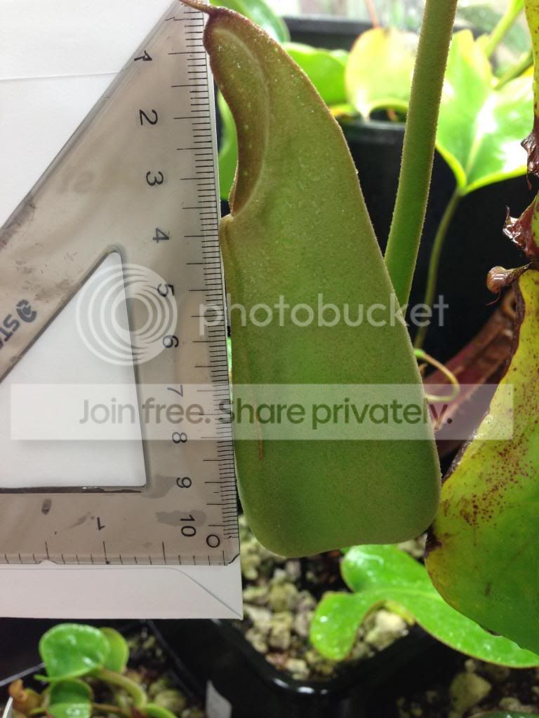 image_zps244a62ae.jpg