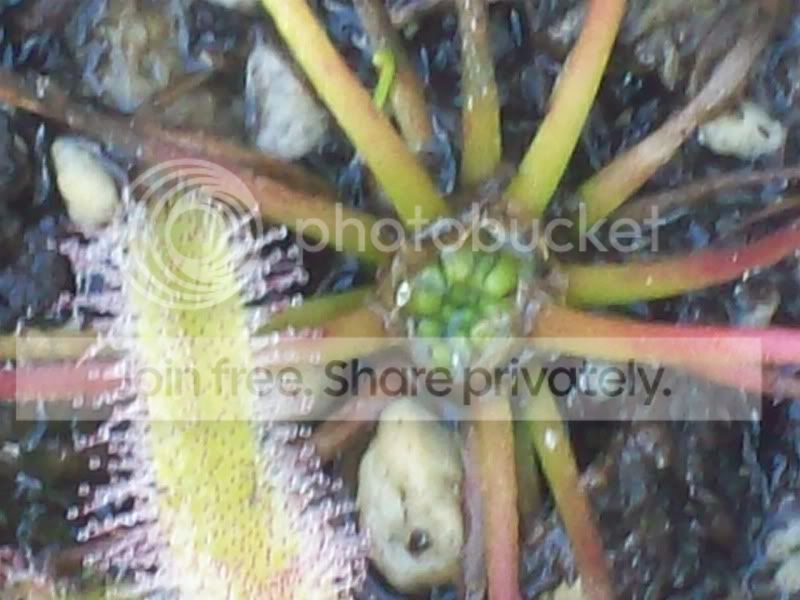 Picture020.jpg