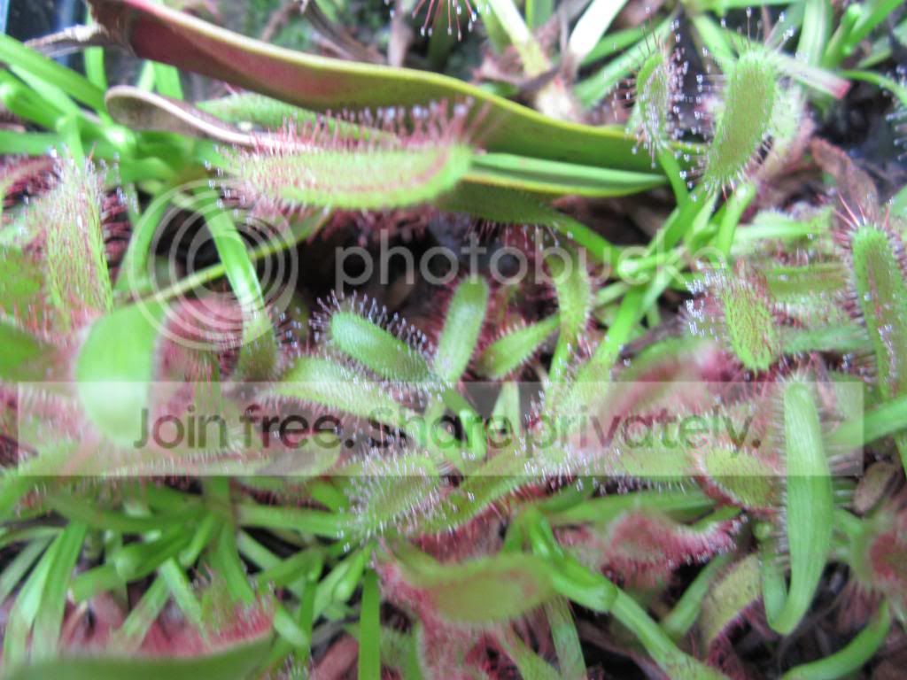 IMG_1192_zps09ef4e1c.jpg