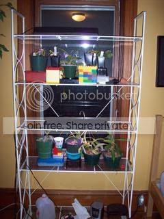 100_00021.jpg