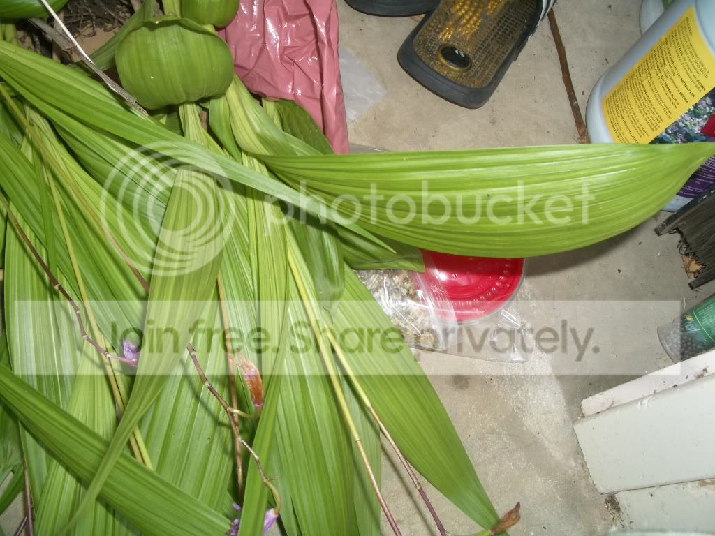IMGP6578.jpg