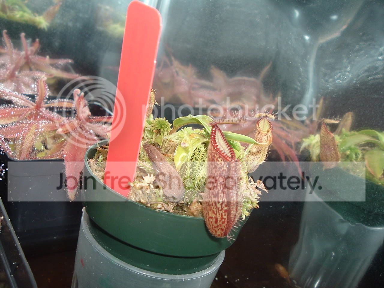 DSCF2172.jpg