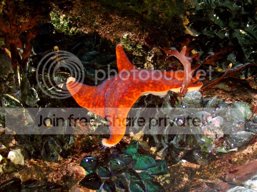 100_6115.jpg