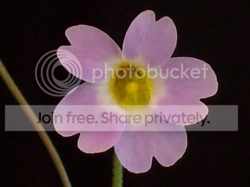 100_9582.jpg