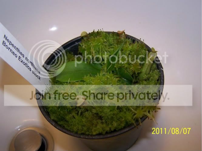 100_4985.jpg