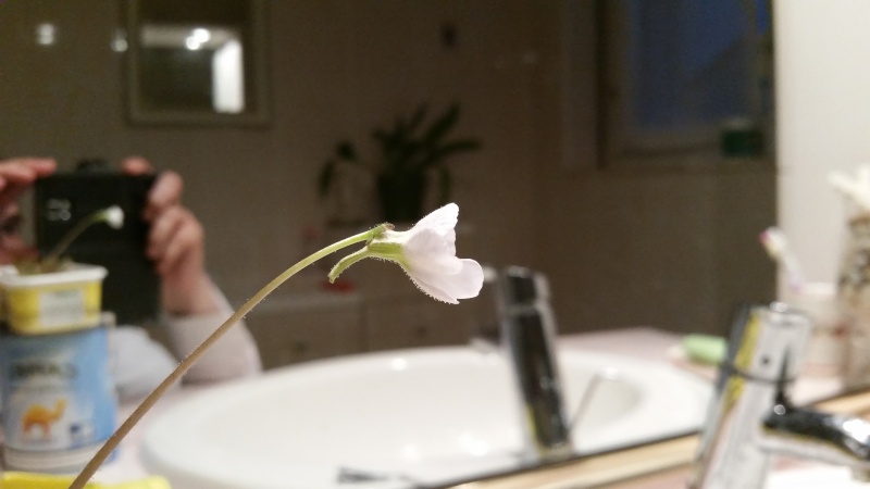 20130212.jpg