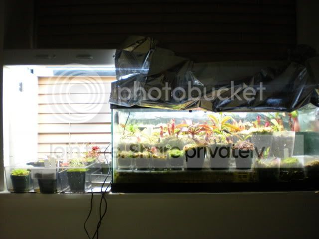 DSCN3803.jpg