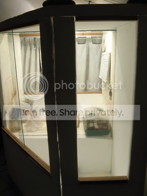 IMG_4868.jpg