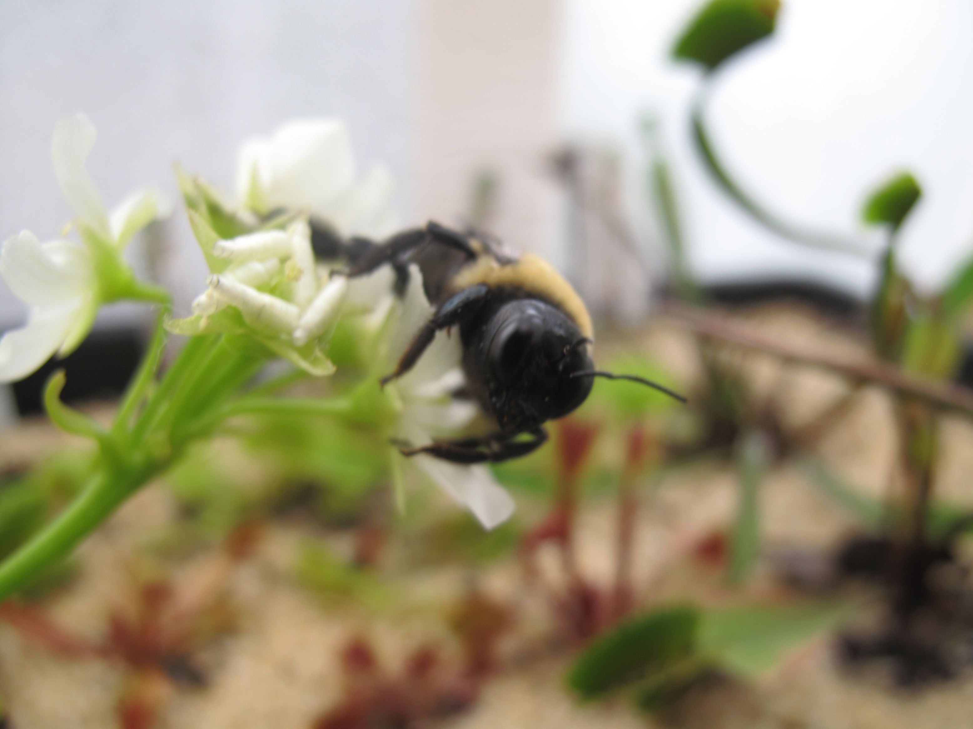 zxsNa.jpg