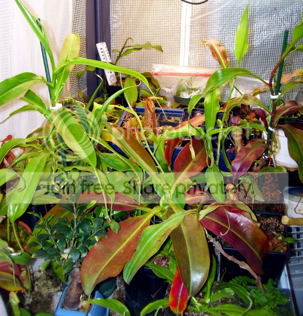 100_8053.jpg