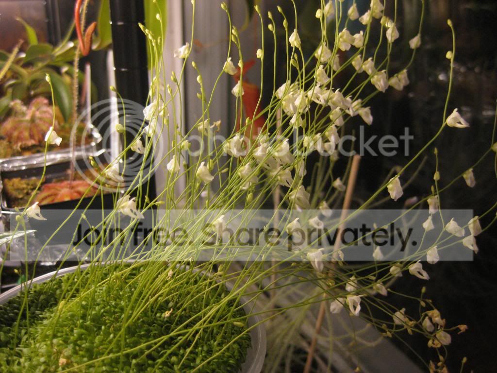IMG_3846_zps5d3bfc24.jpg