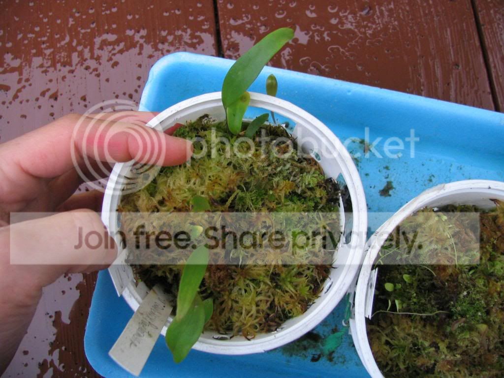 IMG_3074.jpg