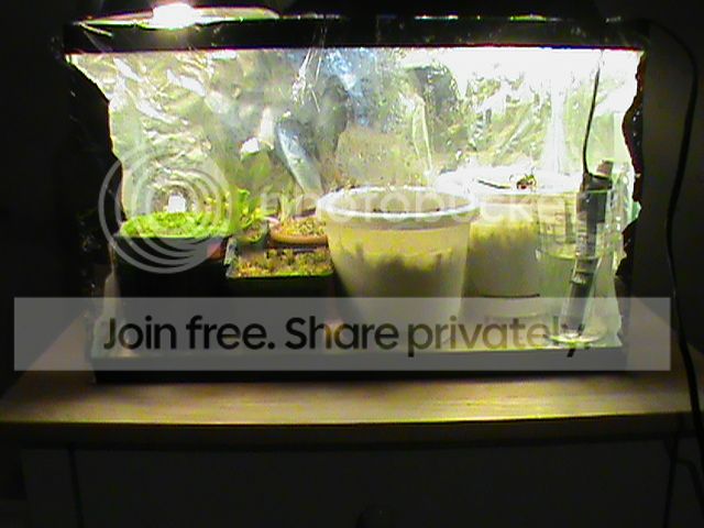 DSC00633_zps0cf4cec0.jpg