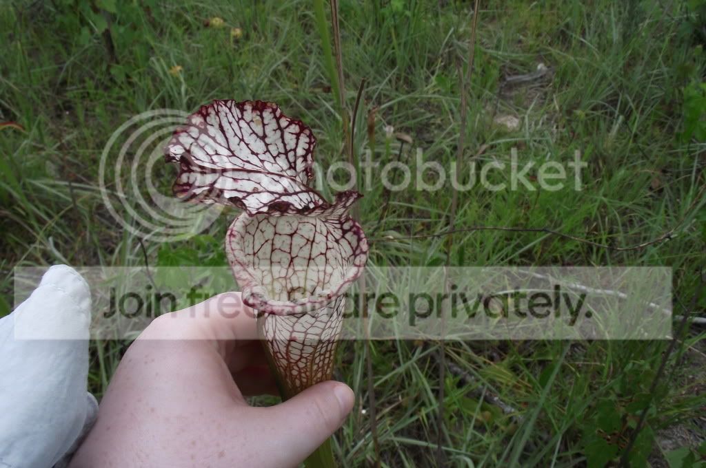 DSCF8637.jpg