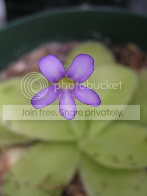 PICT1774-1.jpg
