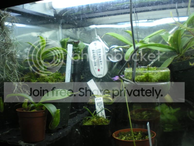 DSCN2727.jpg