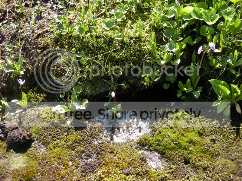 DSCN6230.jpg