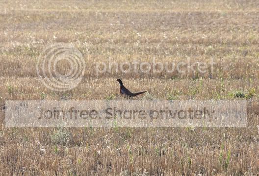IMG_1753.jpg