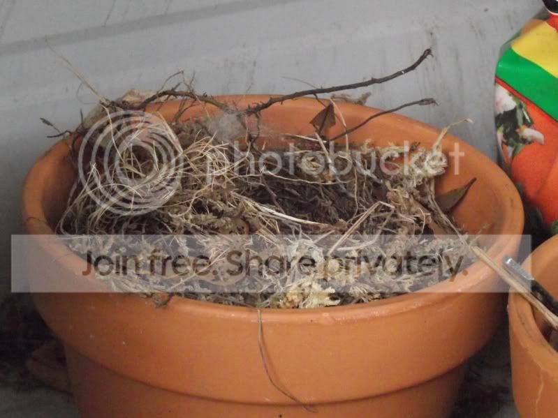 DSCF7715.jpg
