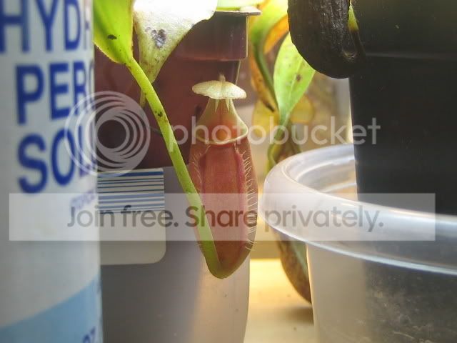 IMG_1848.jpg