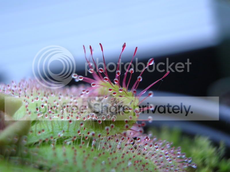DSCN2707.jpg