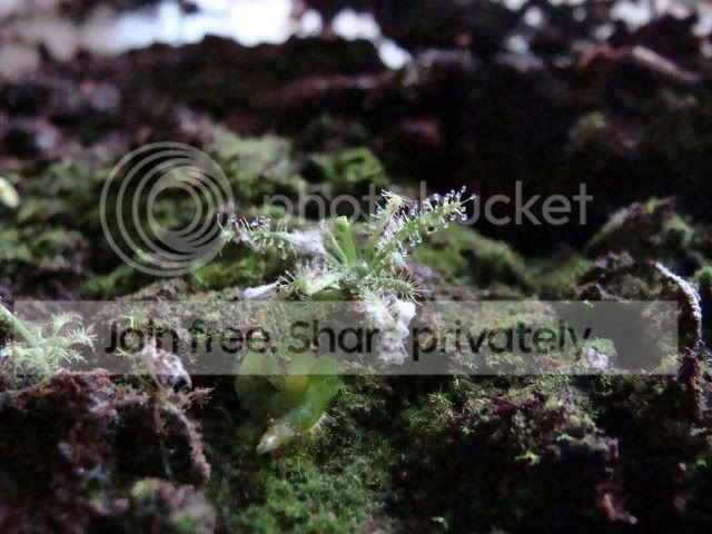 DSC06638.jpg