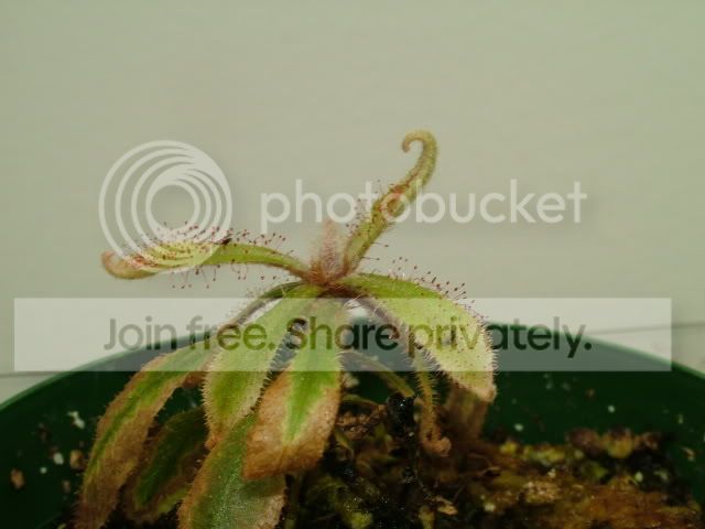 DSCF0760.jpg