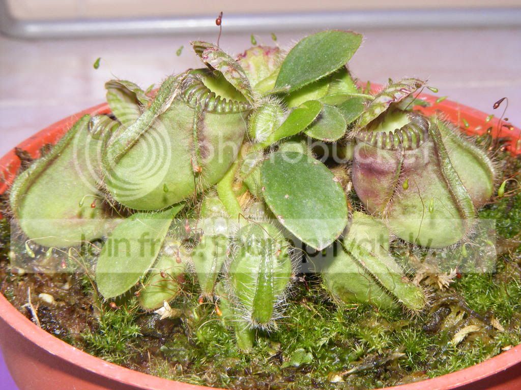 DSCF1289.jpg