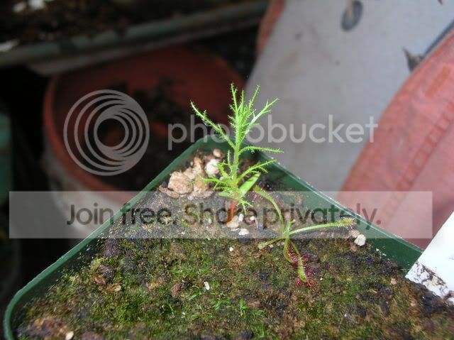 DSCN4338.jpg