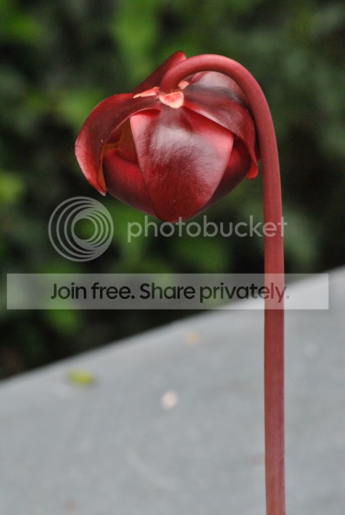 b064c3d3.jpg
