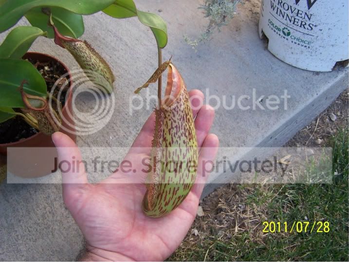 100_4925.jpg