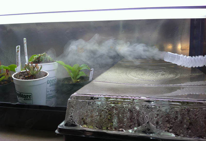 fogger.jpg