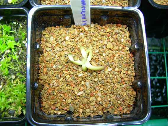 DSCN1213.jpg