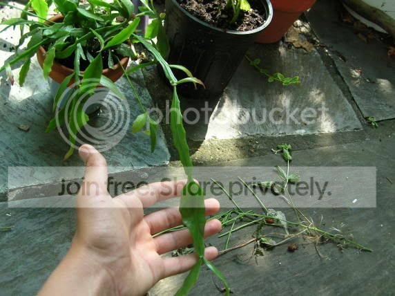 DSCN2030.jpg