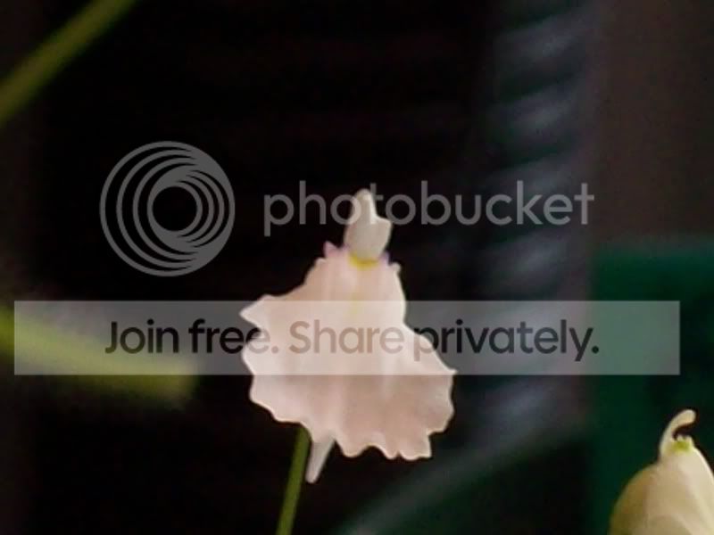 100_8733.jpg