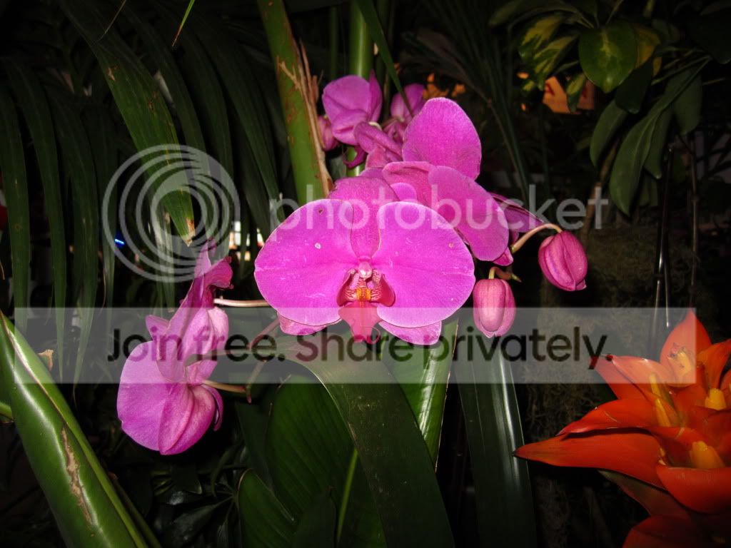 IMG_5081.jpg