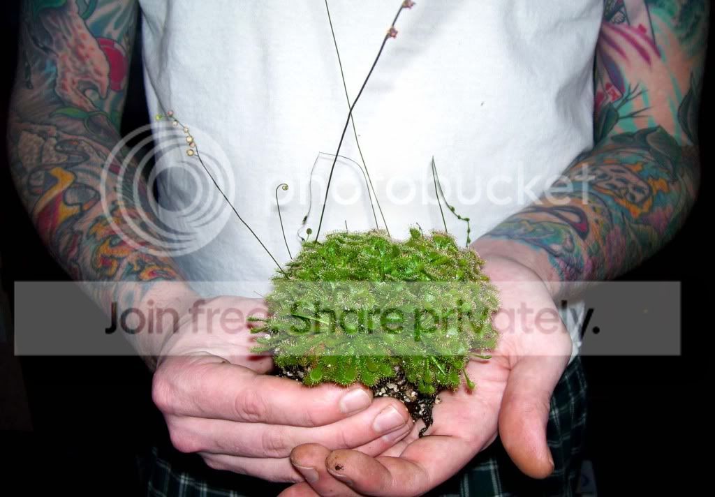 100_7219.jpg