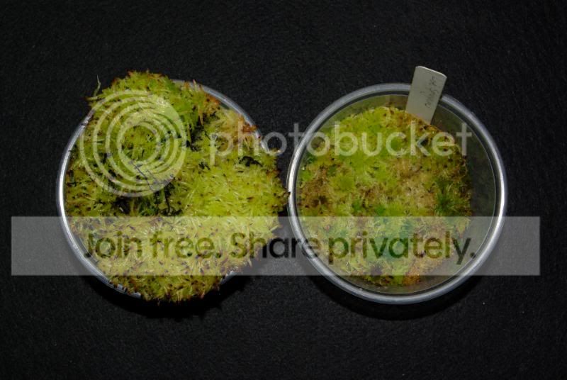 _IGP0347a.jpg