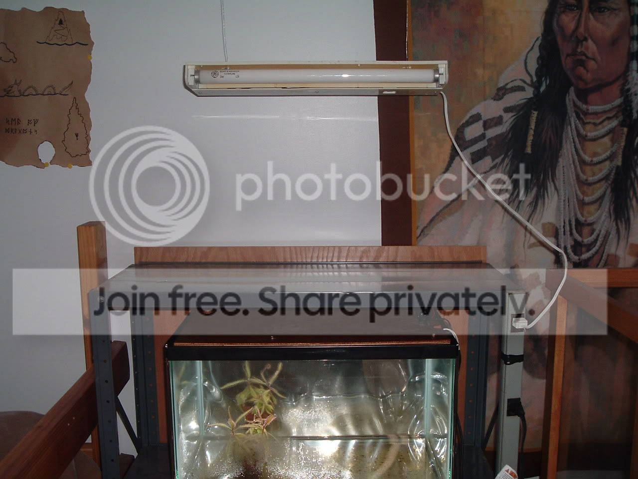 growshelf003.jpg
