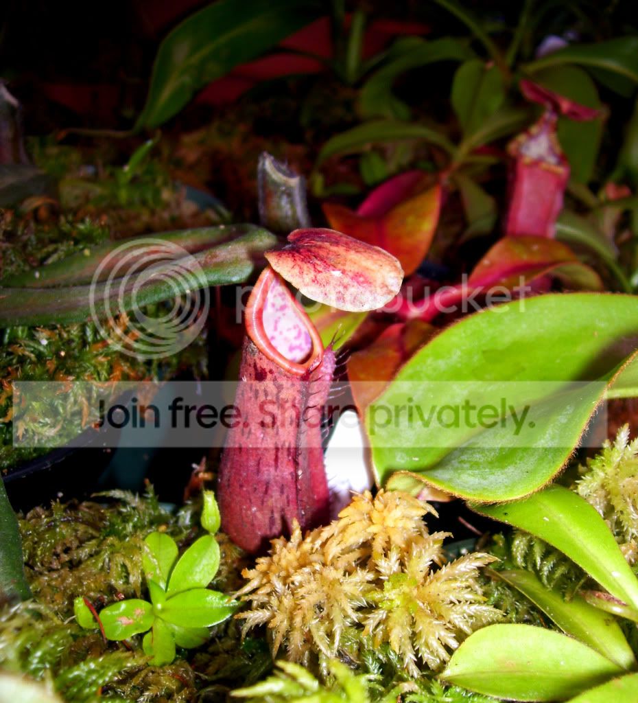 100_6078.jpg
