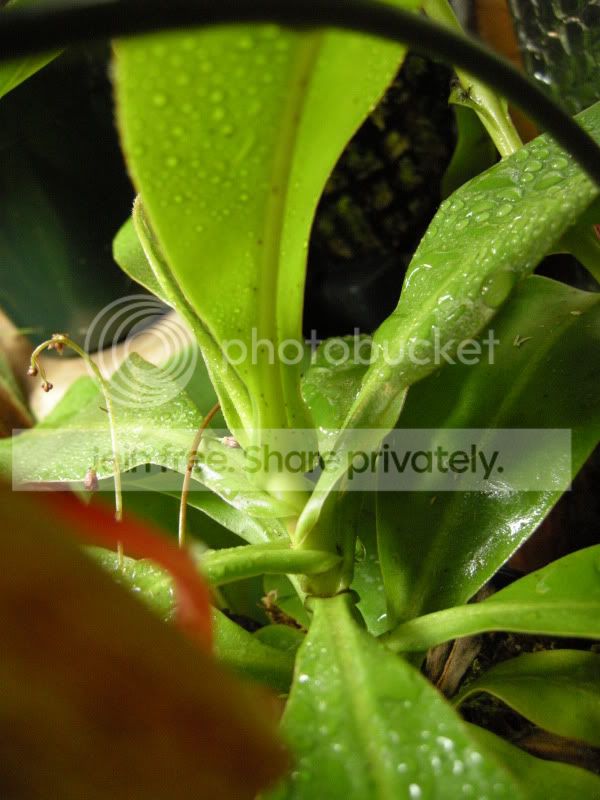 DSCN6032.jpg