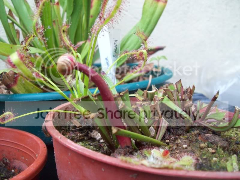 septiembredia3del20106.jpg