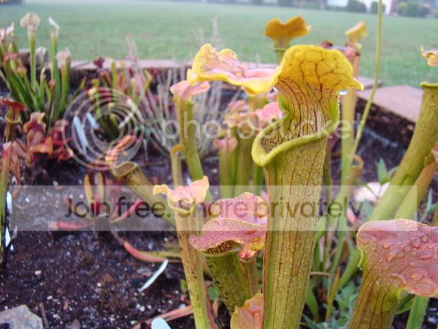 Bogphotos8-08011.jpg