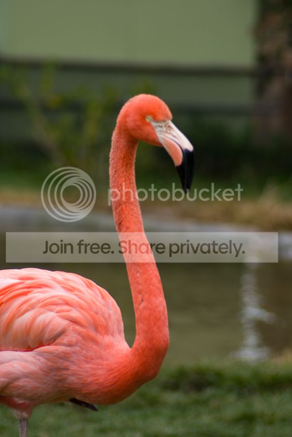 IMGP3646_zpsmenzfvr3.jpg