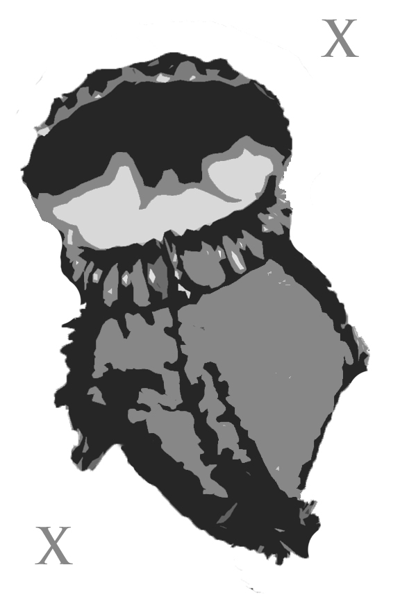 3044623773_91d6707600_o.jpg