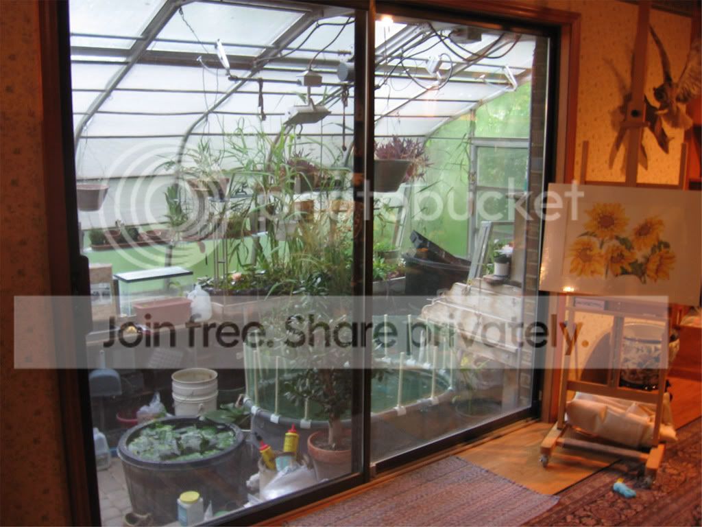 Greenhouse.jpg