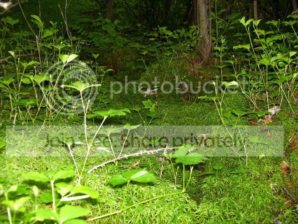 100_4191.jpg