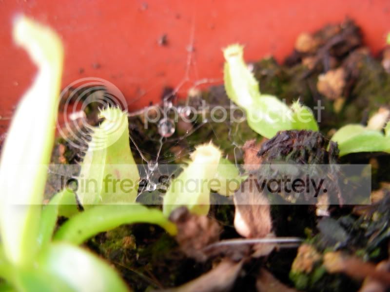 DSCN0024-1.jpg