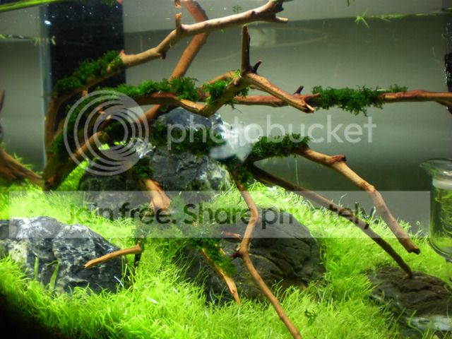 DSCN3644.jpg