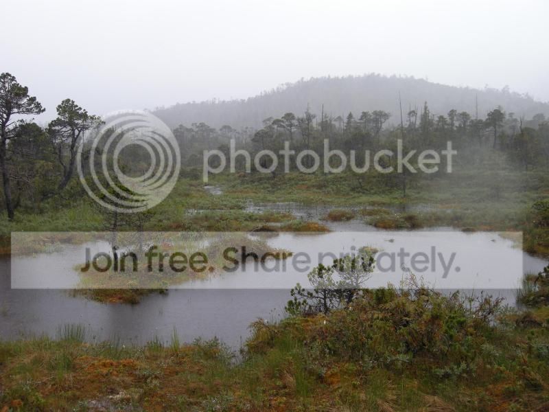 DSCN7542.jpg